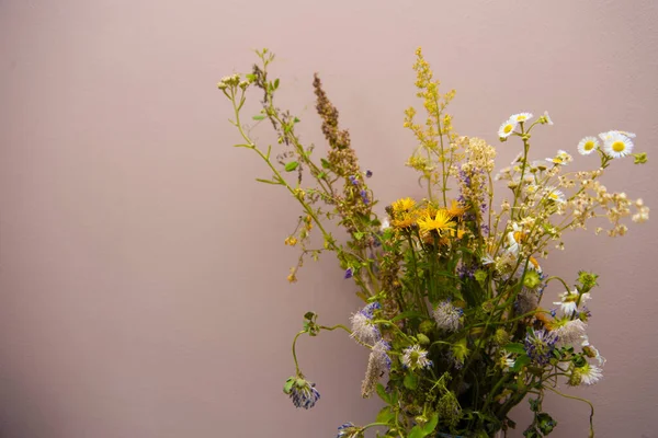Tarla Çiçekli Renklerin Kargaşası — Stok fotoğraf
