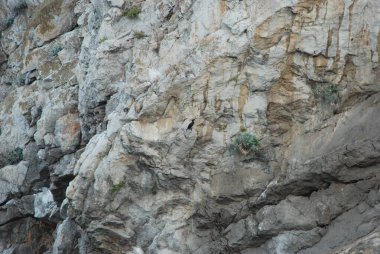 Gri taşların, kayaların arka planı.