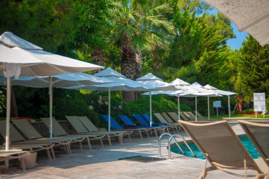 Serin açık yüzme havuzu sıralar halinde şezlonglar ve beyaz güneş şemsiyeleriyle çevrili. Sandalyeler havuzun yanına düzgün bir şekilde yerleştirilmiş, suyun içine uzanan metal bir tırabzan var. Arkaplan yemyeşil palmiyelerle doludur..