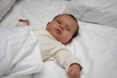 Beyaz arka planda, bebek yatakta. İzole edilmiş portre. Yeni doğmuş bir bebek gibi uyku kavramı.