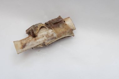 Beyaz arka planda kaynamış biftek kaburgası..