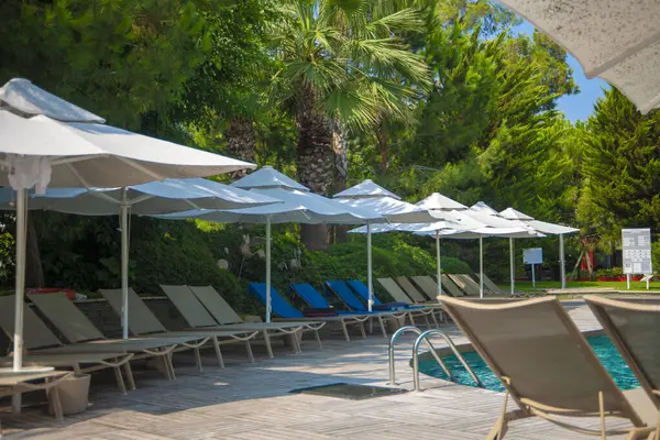 Serin açık yüzme havuzu sıralar halinde şezlonglar ve beyaz güneş şemsiyeleriyle çevrili. Sandalyeler havuzun yanına düzgün bir şekilde yerleştirilmiş, suyun içine uzanan metal bir tırabzan var. Arkaplan yemyeşil palmiyelerle doludur..