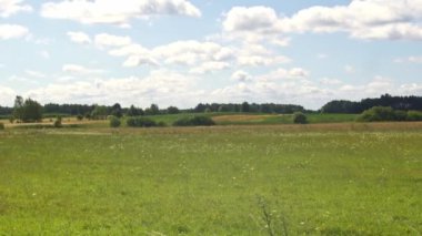 fields, grasslands and forests, view of nature
