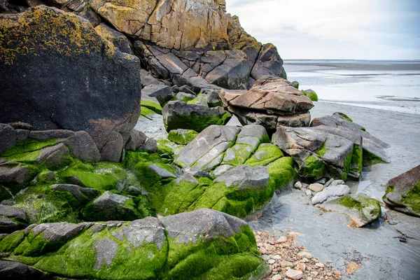 Velké Kameny Pokryté Mechem Mořském Břehu — Stock fotografie
