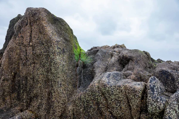 Hermosas Piedras Gran Tamaño Cubierto Musgo Verde — Foto de Stock