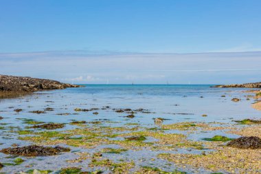 Denizde körfez, taşlı sahil