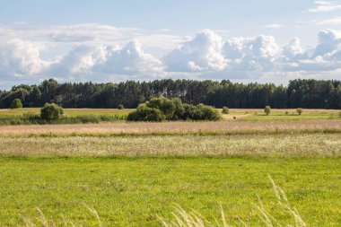 Avrupa 'da bir yerlerde yeşil alanların manzarası