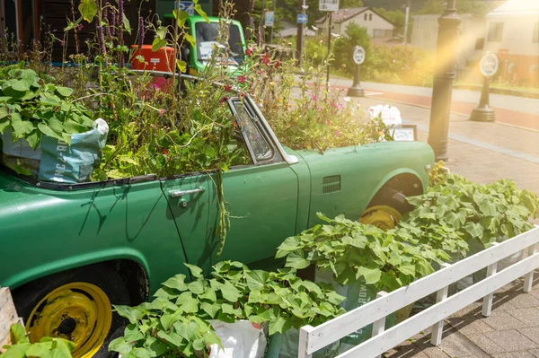 Blommor Varvet Återvunnen Bil För Eko Friengly Koncept Trädgårdsarbete Skräpbil — Stockfoto