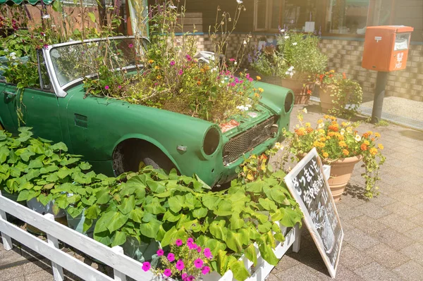 Jardin Fleurs Sur Une Voiture Recyclée Pour Concept Eco Friengly — Photo