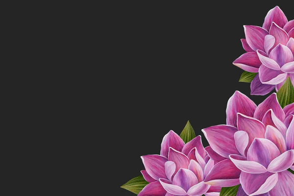 Beautiful Greeting Card Template Lotus Flowers — Stock Photo, Image