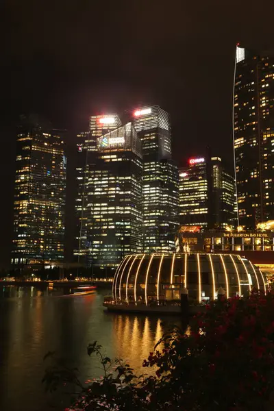 Geceleri Singapur Panoraması. Merlion Park 'taki körfezin suyuna yansıyan gökdelenler. Müze nilüferleri. Marina Körfezi yakınlarındaki Merlion Parkı.