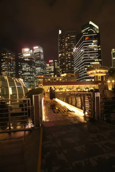 Geceleri Singapur Panoraması. Merlion Park 'taki körfezin suyuna yansıyan gökdelenler. Müze nilüferleri. Marina Körfezi yakınlarındaki Merlion Parkı.