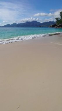 Altın Kum, Turkuaz Okyanus Dalgaları, Berrak Yeşil Ağaçlar ve Açık Mavi Gökyüzü Dinginlik ve Doğa Aşıkları İçin Sakin Kıyı Cenneti