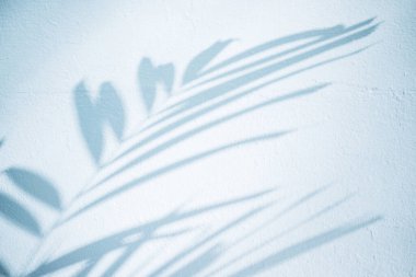 Beton Arkaplanda Parlak Yapraklar Gürültü ve tahıl dokusuna neden olur