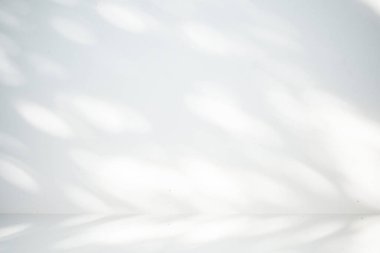 Soyut gri ve beyaz arkaplan, kopya alanı olan gölge arkaplan, ekran ürünleri, oda, iç mekan