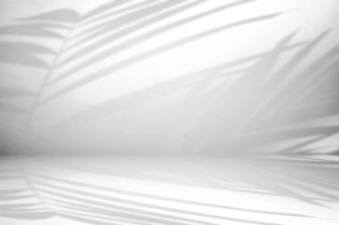 Beton Arkaplanda Parlak Yapraklar Gürültü ve tahıl dokusuna neden olur