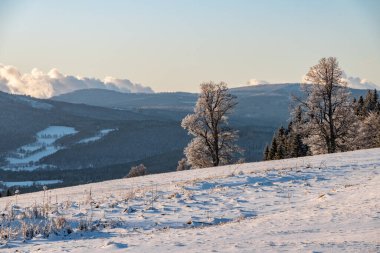 Sumava Milli Parkı 'ndaki tepede karlı ağaçlar
