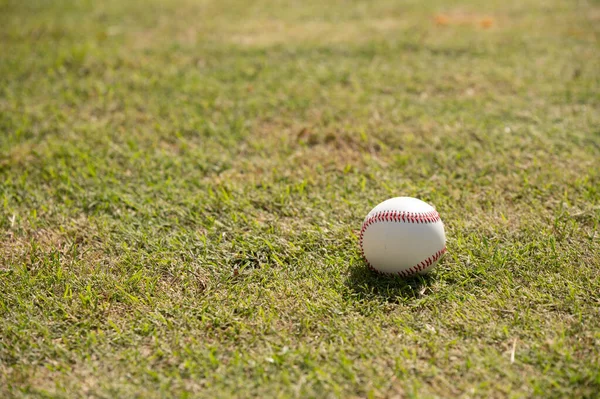 Tæt Skud Baseball Græs - Stock-foto