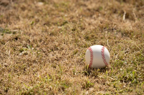 Béisbol Visto Hierba Disparado Desde Ángulo Bajo —  Fotos de Stock
