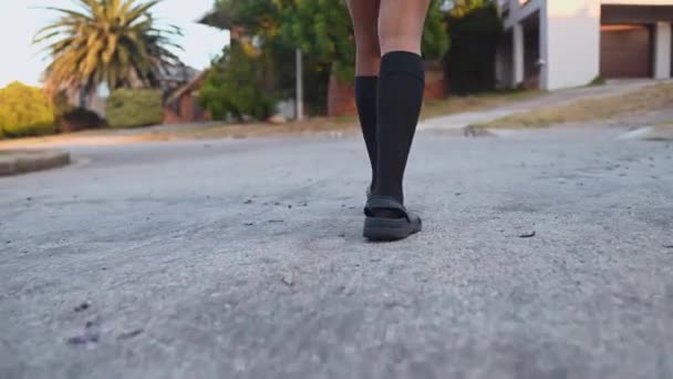 Gqeberha Sudáfrica Noviembre 2022 Persona Con Zapatos Cocodrilo Visto Camino — Vídeos de Stock