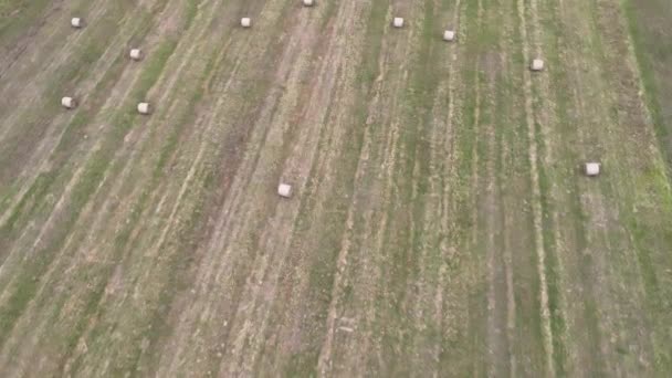 干し草の山の上を飛行するドローン — ストック動画