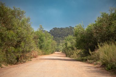 Düşük açıdan boş toprak yol görüntüsü