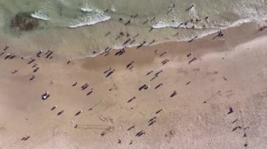 Kuşbakışı kumsalda eğlenen insanların görüntüsü