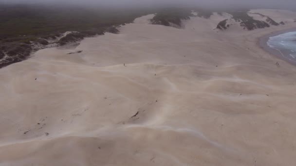 Pohled Ptačí Perspektivy Ženu Kráčející Podél Duny — Stock video