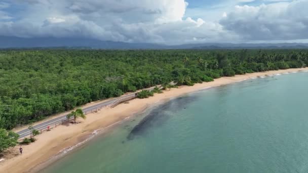 Drone Flying Coastline Trees — Video