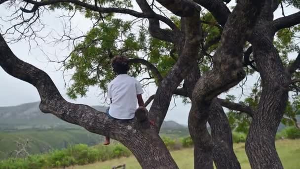 Young Boy Sitting Tree Looking Nature — Wideo stockowe