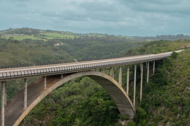 Bridge spanning across beautiful nature scene