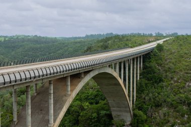 Bridge with bushes shot with grey skies