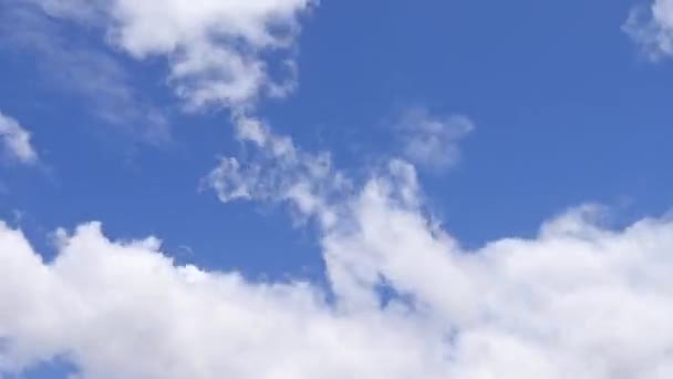 Cloudscape Shot Low Angle — Video Stock