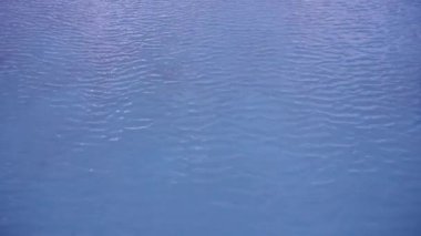 High angle view of water ripples 