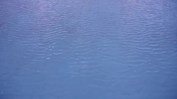 Vista Ângulo Alto Ondulações Água — Vídeo de Stock