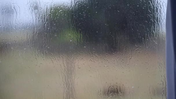 Déšť Vidět Rozostřeným Oknem — Stock video