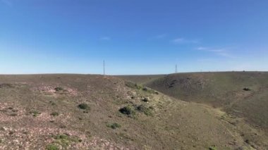 Kuşlar doğada görülen tepelere bakıyor.