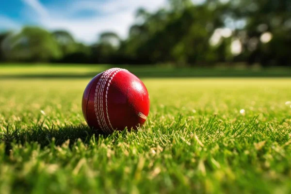 Detailní Záběr Kriketového Míče Hřišti Stock Fotografie