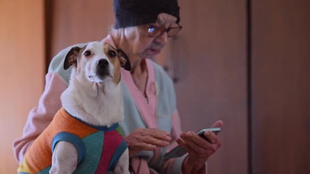 Kvinna Sett Med Sin Smartphone Med Hund Sittande Bredvid Henne — Stockvideo