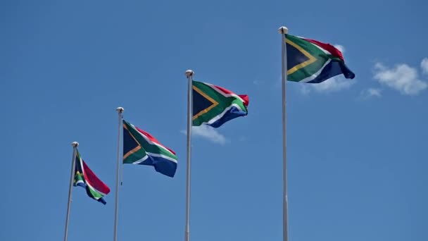 Вид Південноафриканські Прапори Полюсі — стокове відео