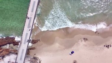 İnsanların güneşlendiği sahile kuşların bakışı 