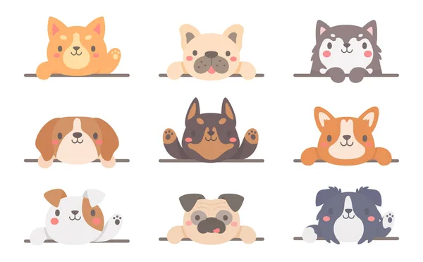 Cartone Animato Animale Domestico Testo Cornice Simpatici Cani Gatti Bambini — Vettoriale Stock
