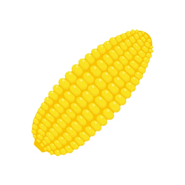 Peeled Corn Ears Corn Vector Yellow Fruit — Stock Vector