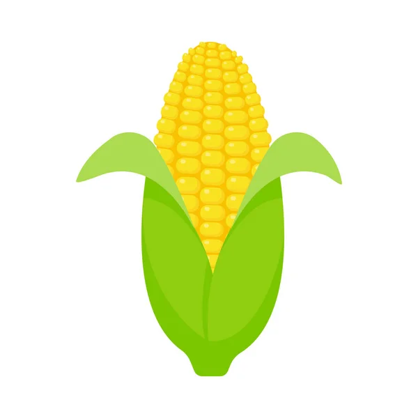 Oloupané Kukuřičné Uši Kukuřičný Vektor Žluté Ovoce — Stockový vektor