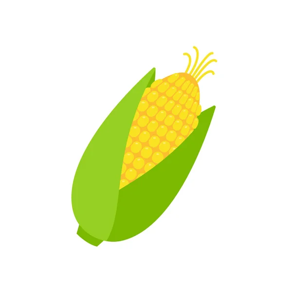 Obierane Uszy Kukurydzy Wektor Kukurydzy Żółty Owoc — Wektor stockowy