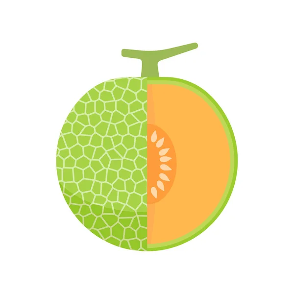 Melón Con Pulpa Naranja Dulce — Vector de stock