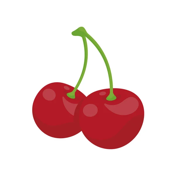 Vektor Fényes Fényes Piros Cseresznye Citrus Bogyók Egészséges Vitaminokat — Stock Vector