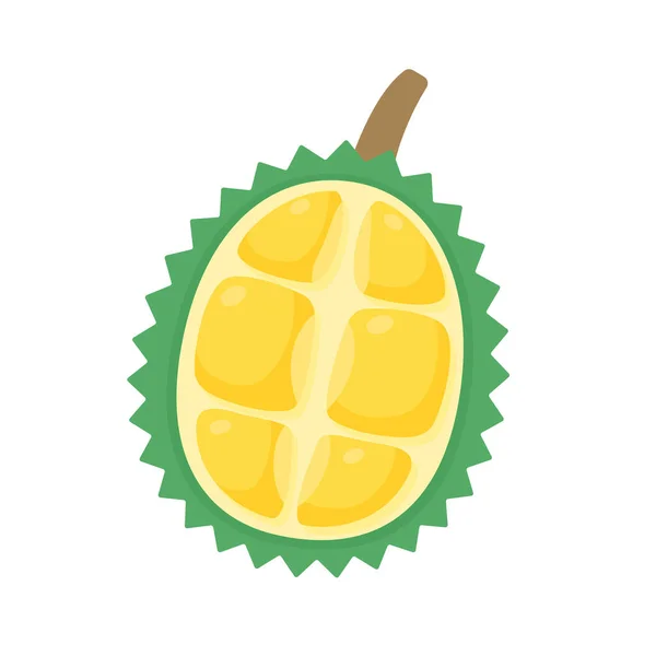 黄色榴莲 带有刺 美味的热带水果 — 图库矢量图片