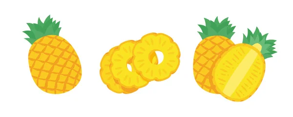 Vector Pineapple Sweet Fruit Summer Time — Stock Vector