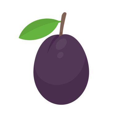 mor erik yüksek lifli meyve sindirim sistemine yardımcı olur vejetaryenler için sağlıklı meyveler